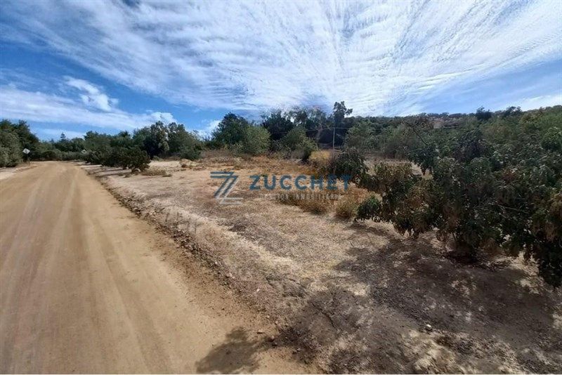 Terreno en María Pinto — venta, foto 7