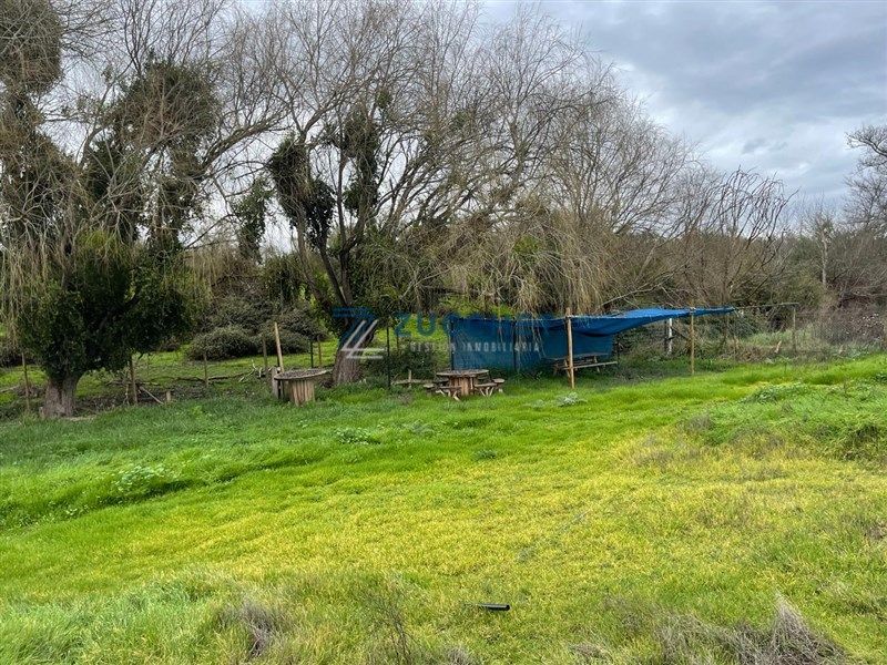 Sitio en Melipilla — venta, foto 4