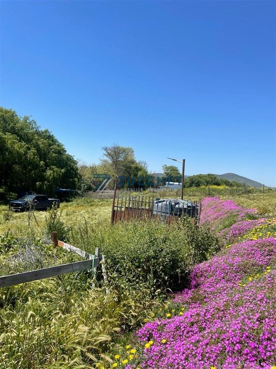 Sitio en Melipilla — venta, foto 5