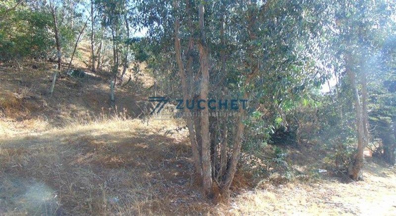 Parcela en Quilpué — venta, foto 6