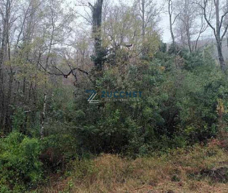 Parcela en Pucón — venta, foto 2