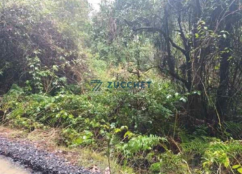 Parcela en Pucón — venta, foto 8
