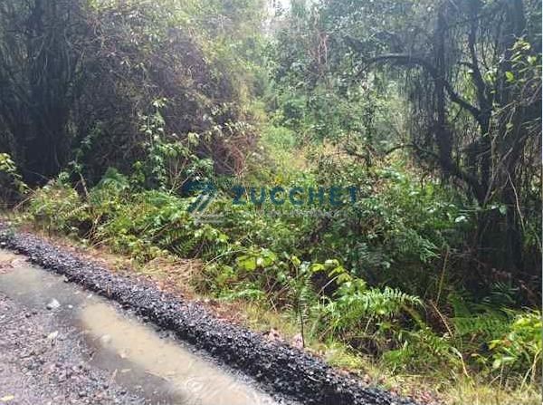 Parcela en Pucón — venta, foto 2