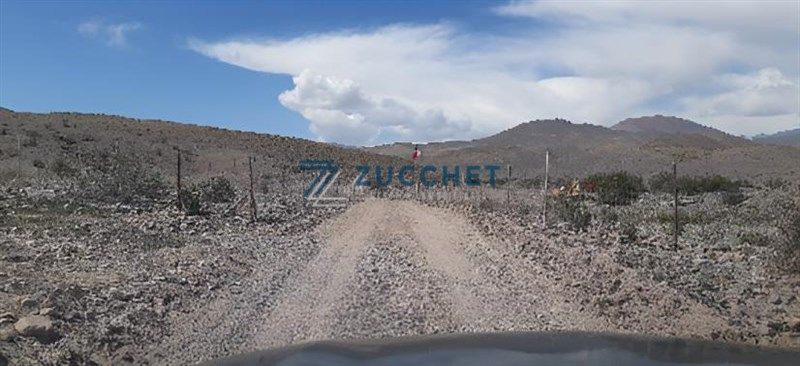 Agrícola en La Higuera — venta, foto 2