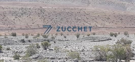 Agrícola en La Higuera — venta, foto 3