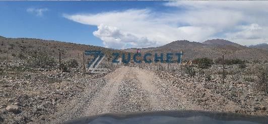 Agrícola en La Higuera — venta, foto 4