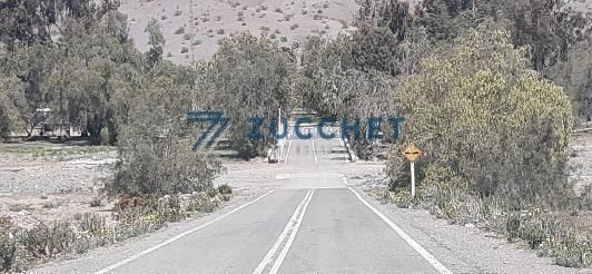 Agrícola en La Higuera — venta, foto 8
