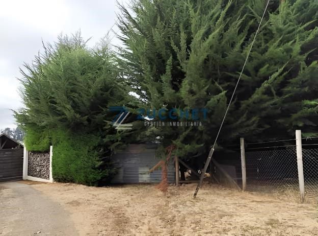 Agrícola en Temuco en venta, código 5533