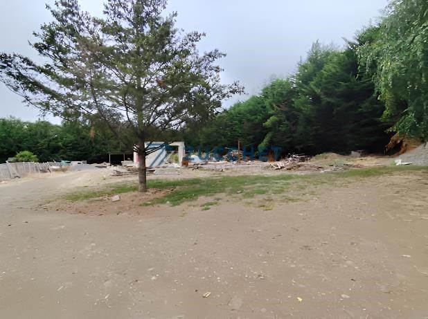 Agrícola en Temuco — venta, foto 2