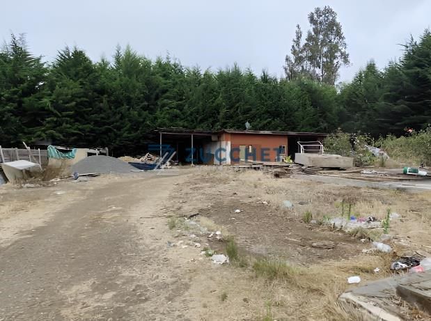 Agrícola en Temuco — venta, foto 8